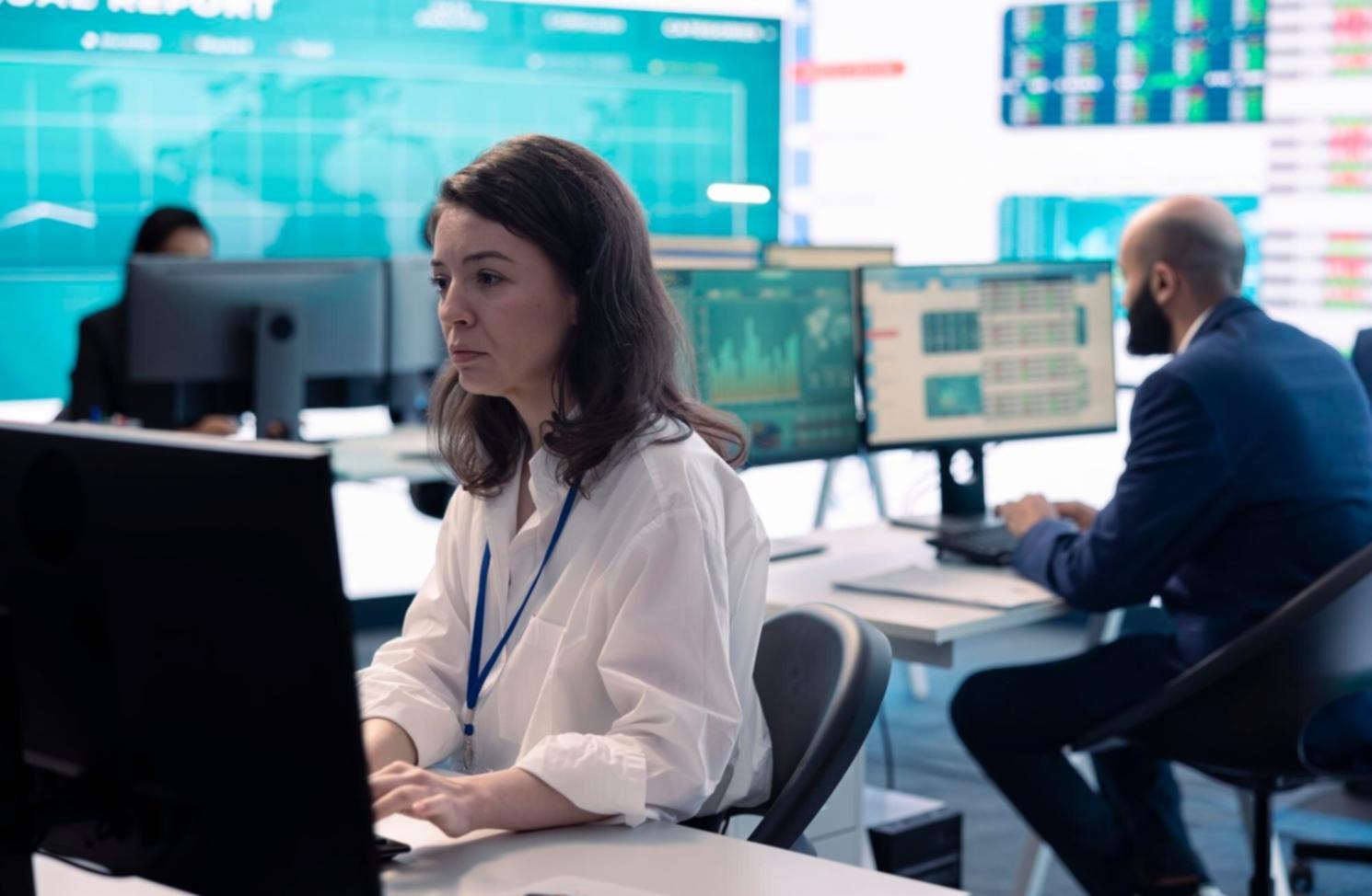 Custom software development workspace